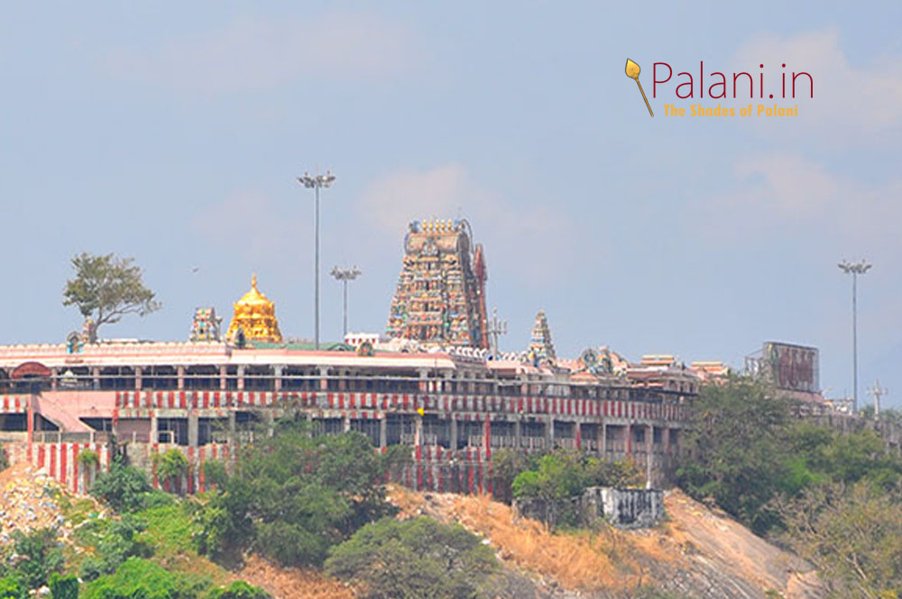 Palani Murugan Temple
